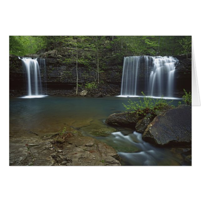 USA, Arkansas, Ozark- St Francis National (Vorderseite (Horizontal))