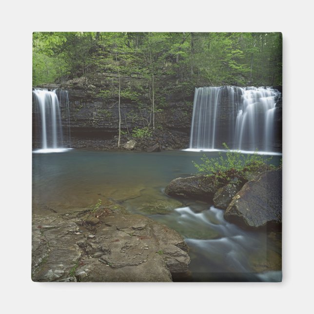 USA, Arkansas, Ozark- St Francis National Magnet (Vorne)