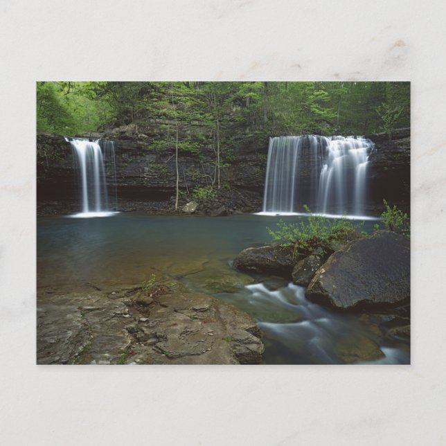 USA, Arkansas, Ozark- St Francis National Postkarte (Vorderseite)