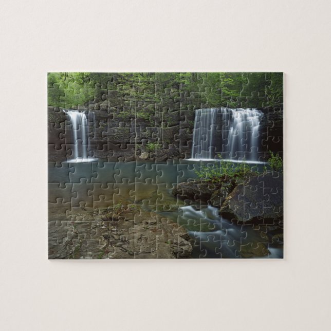 USA, Arkansas, Ozark- St Francis National Puzzle (Horizontal)