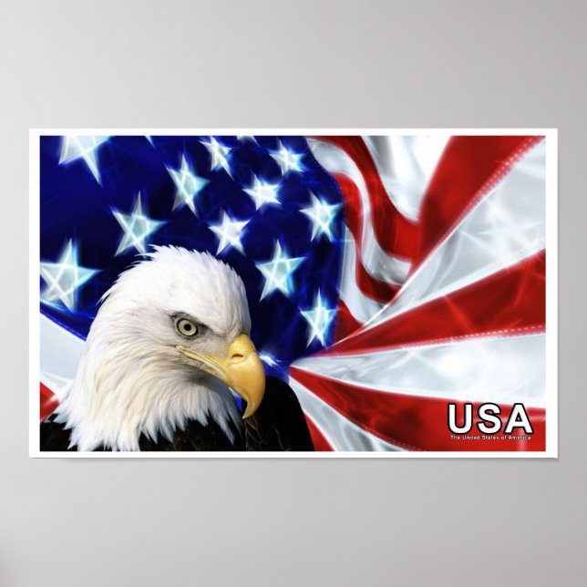 USA Bald Eagle Flag Poster (Vorne)
