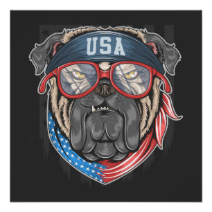 USA Bulldog Poster