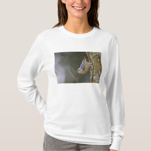 USA, Bundesstaat Washington, Kleiber mit roter Bru T-Shirt