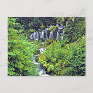 USA, Bundesstaat Washington, Mt Adams Wilderness.  Postkarte