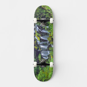 USA, Bundesstaat Washington, Mt Adams Wilderness.  Skateboard