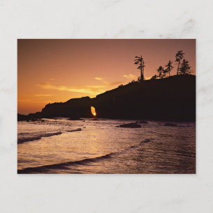 USA, Bundesstaat Washington, Olympic National Park Postkarte