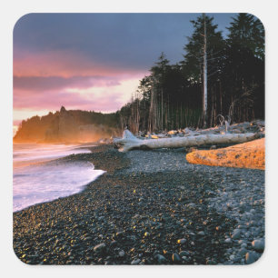 USA, Bundesstaat Washington, Olympic NP. Wellen um Quadratischer Aufkleber