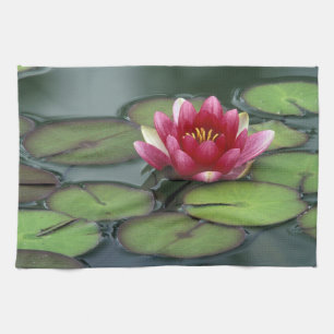 USA, Bundesstaat Washington, Seattle. Seerose und Handtuch