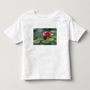 USA, Bundesstaat Washington, Seattle. Seerose und Kleinkind T-shirt