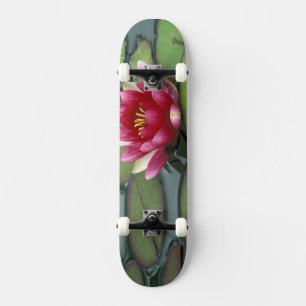 USA, Bundesstaat Washington, Seattle. Seerose und Skateboard