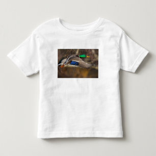 USA, Bundesstaat Washington, Stockente, männlich,  Kleinkind T-shirt