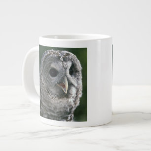 USA, Bundesstaat Washington. Streifenkauz (Strix v Jumbo-Tasse