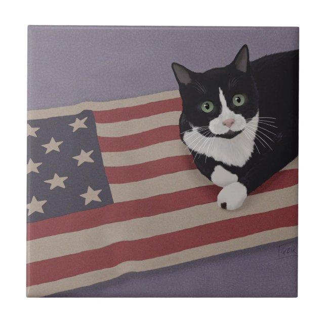 USA Cat Fliese (Vorderseite)