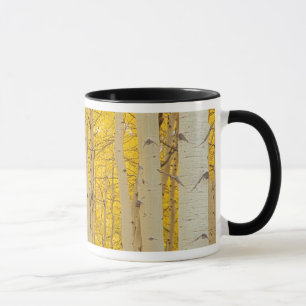 USA, Colorado. Aspekte im Gunnison National Tasse