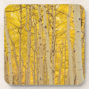 USA, Colorado. Aspekte im Gunnison National Untersetzer