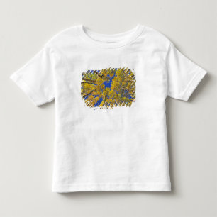 USA, Colorado, Aspen-Gebiet. Espenwald im Herbst Kleinkind T-shirt