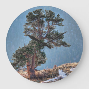 USA, Colorado, Baum in Estes Park Große Wanduhr