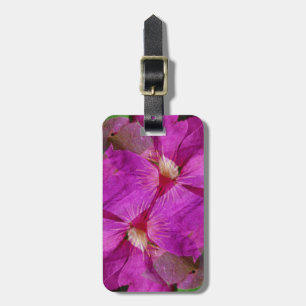 USA, Colorado, Boulder. Clematis-Blumenmontage Gepäckanhänger