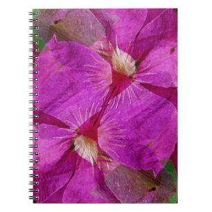 USA, Colorado, Boulder. Clematis-Blumenmontage Notizblock