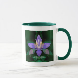 USA, Colorado, Boulder County Tasse