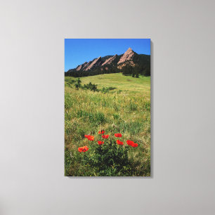 USA, Colorado, Boulder. Flatironen und Mohnblumen Leinwanddruck