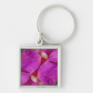 USA, Colorado, Boulder. Montage der Blume Clematis Schlüsselanhänger