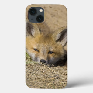 USA, Colorado, Breckenridge. Alarmierter Fuchs Case-Mate iPhone Hülle