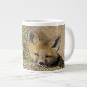 USA, Colorado, Breckenridge. Alarmierter Fuchs Jumbo-Tasse