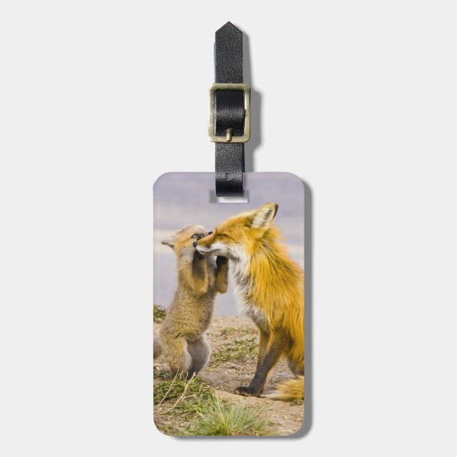 USA, Colorado, Breckenridge. Mutter von Rotfuchs 2 Gepäckanhänger (Vorderseite vertikal)