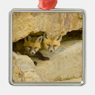 USA, Colorado, Breckenridge. Neugieriger Rotfuchs Ornament Aus Metall