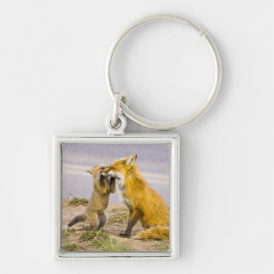 USA, Colorado, Breckenridge. Rotfuchs-Mutter 2 Schlüsselanhänger