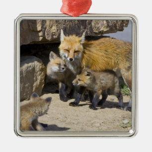 USA, Colorado, Breckenridge. Rotfuchs-Mutter 4 Ornament Aus Metall