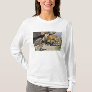 USA, Colorado, Breckenridge. Rotfuchs-Mutter 4 T-Shirt