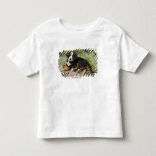 USA, Colorado, Breckenridge. Weiblicher Berner Sen Kleinkind T-shirt
