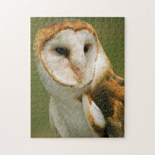 USA, Colorado, Broomfield. Schleiereule Puzzle