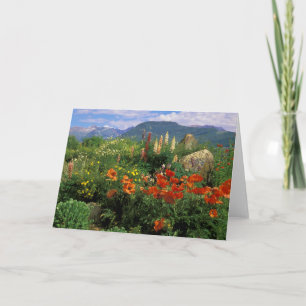 USA, Colorado, Crested Butte. Mohn und Lupine Karte