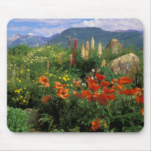 USA, Colorado, Crested Butte. Mohn und Lupine Mousepad