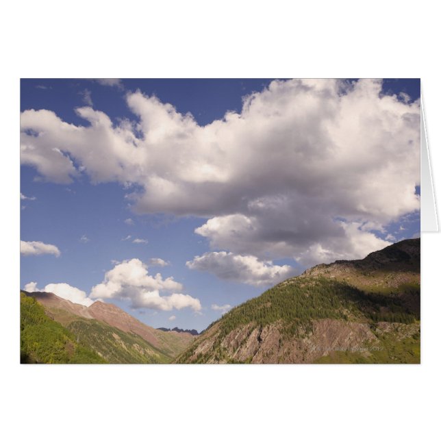 USA, Colorado, Elche (Vorderseite (Horizontal))