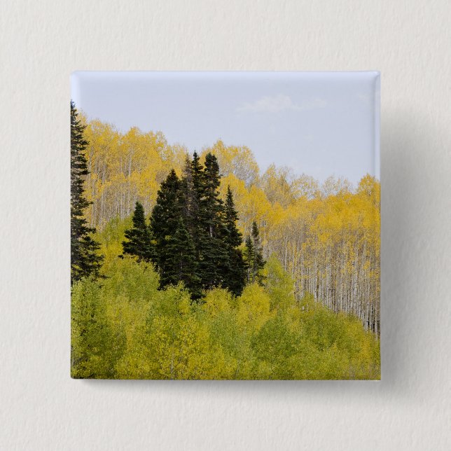 USA, Colorado, Gunnison National Forest, entlang 2 Button (Vorderseite)