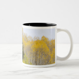 USA, Colorado, Gunnison National Forest, entlang 2 Zweifarbige Tasse