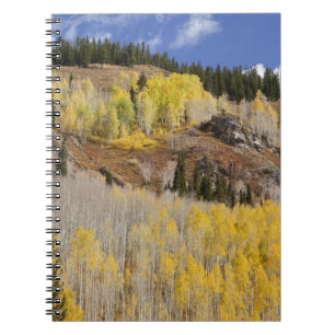 USA, Colorado, Gunnison National Forest, entlang Notizblock