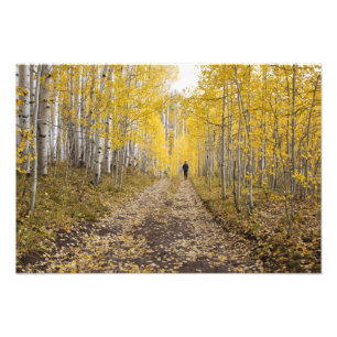 USA, Colorado, Gunnison National Forest in der Näh Fotodruck