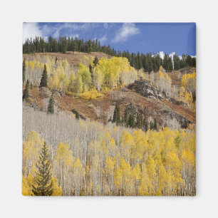 USA, Colorado, Gunnison National Forest, Magnet