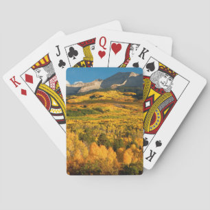 USA, Colorado, Gunnison National Forest Spielkarten