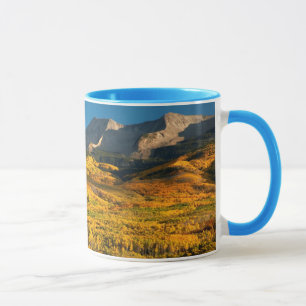 USA, Colorado, Gunnison National Forest Tasse