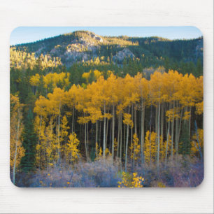 USA, Colorado. Helle gelbe Espen in den Rockies Mousepad