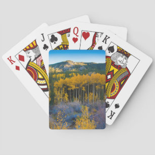 USA, Colorado. Helle gelbe Espen in den Rockies Spielkarten