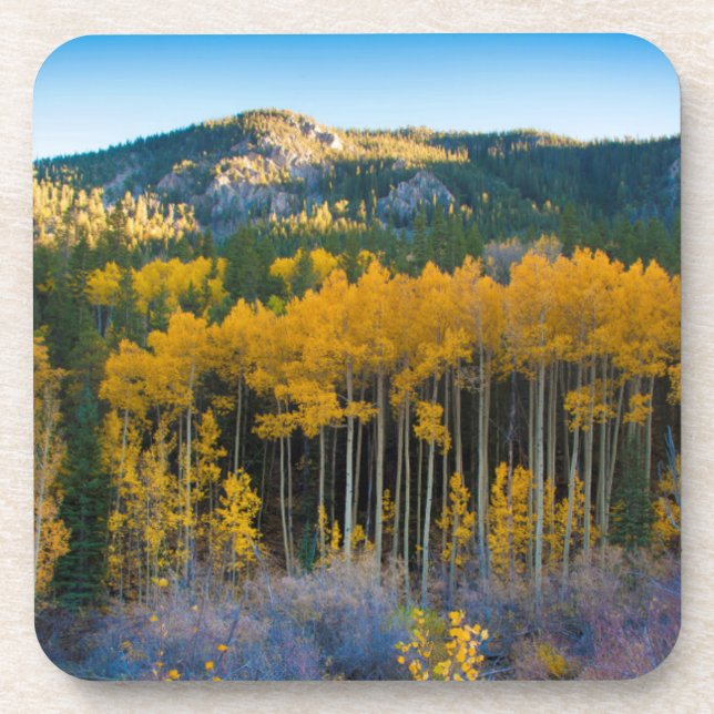 USA, Colorado. Hellgelbe Aspekte in Rockies Untersetzer (Vorderseite)