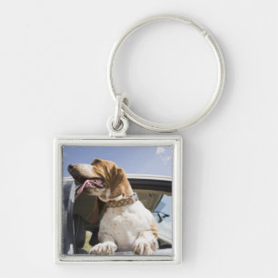 USA, Colorado, Hund, der durch Autofenster 2 Schlüsselanhänger