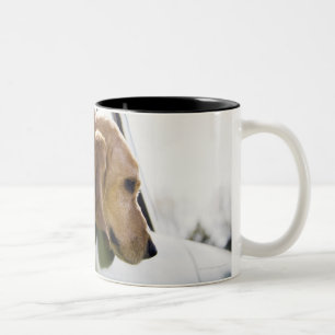 USA, Colorado, Hund, der durch Autofenster schaut Zweifarbige Tasse